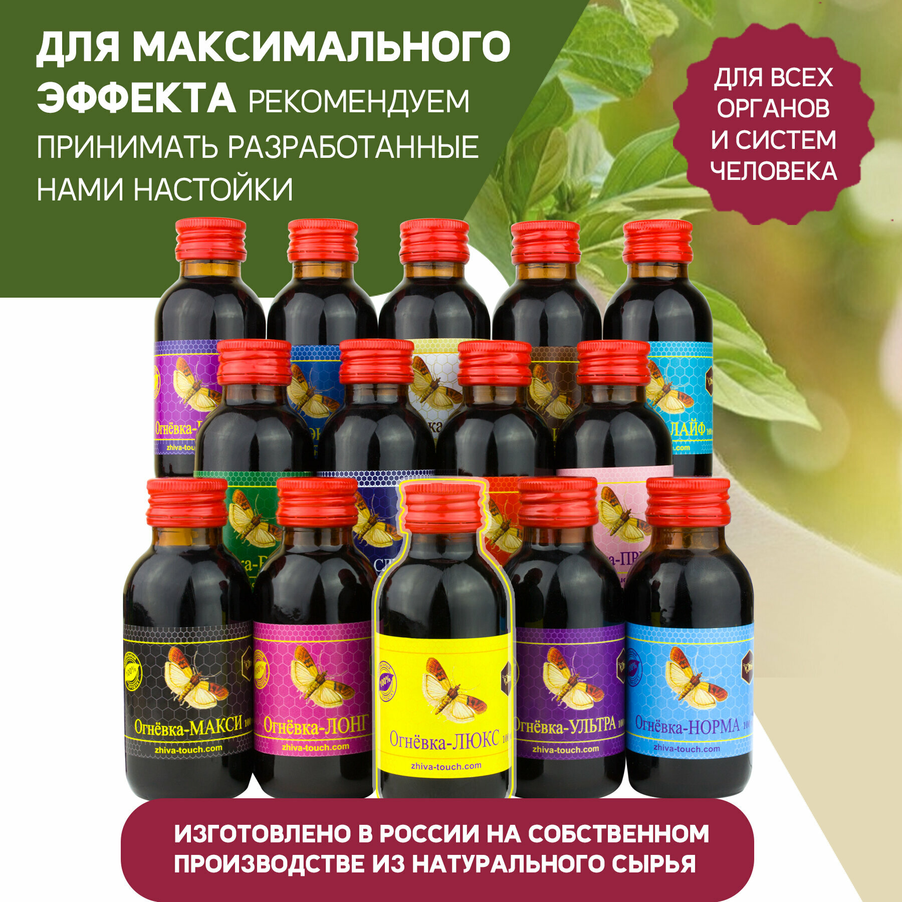 Препараты При Гипотиреозе Настойка Огневка - люкс комплекс для щитовидной железы, витамины для эндокринной системы, дефицит йода, 100 мл.