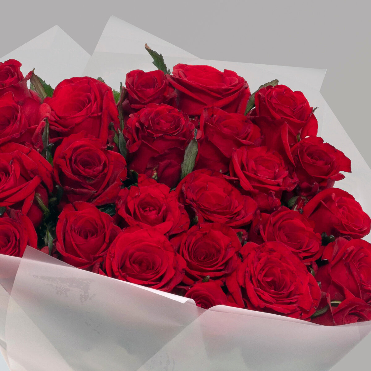 Букет красных роз Red Eagle, 25 шт, высота 50 см. Florentika