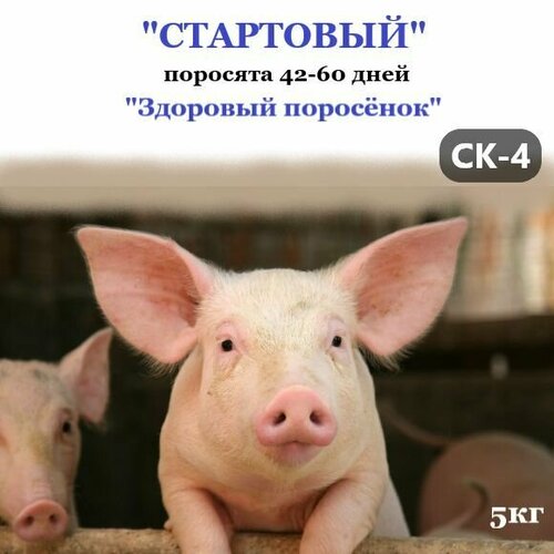 Полнорационный комбикорм для с/х животных и птиц. "Рост" СК-5 поросята до 40 кг.