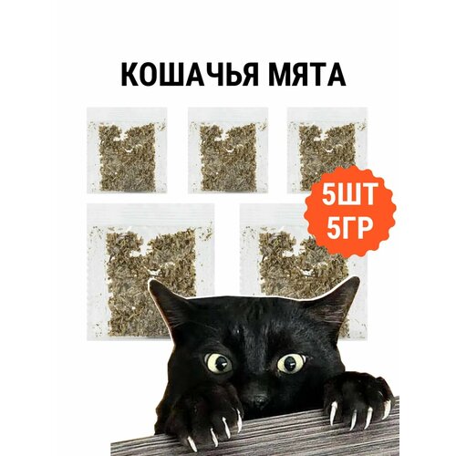 Кошачья мята 5 грамм - набор 5 пакетиков по 1 грамму