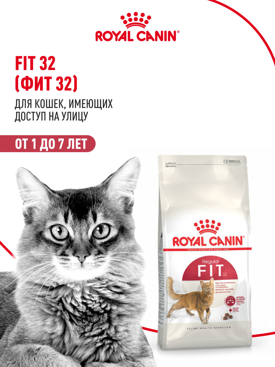 Сухой корм для умеренно активных кошек Royal Canin Fit 32, 2 кг — фото 1