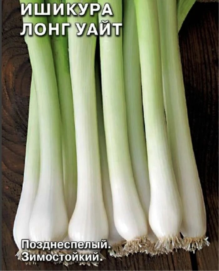 Коллекционные семена лука батун Ишикура Лонг Уайт
