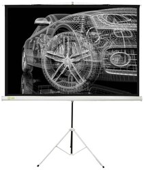 Рулонный матовый белый экран cactus Triscreen CS-PST-124x221