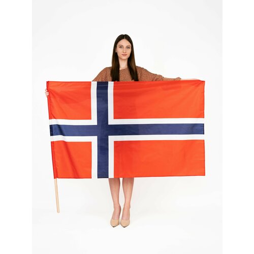 флаг ирана флаги стран мира материал полиэфирный шелк размер 90х145 см российское производство Флаг норвегии / Флаги стран мира, материал полиэфирный шелк, размер большой 90х145 см