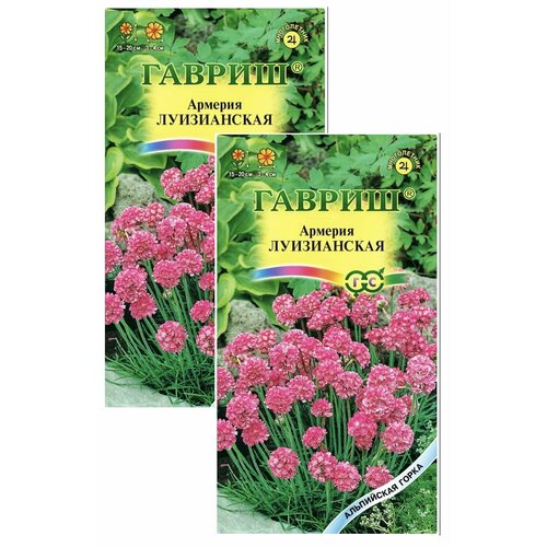 Армерия Луизианская (приморская), 2 пакета, семена 0,02 гр, Гавриш, серия Альпийская горка армерия приморская рубра