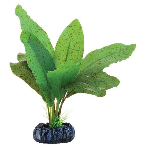 Растение шелковое Эхинодорус крапчатый, 130мм, (пакет), Laguna (1 шт)