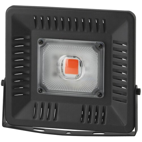 ЭРА Прожектор для растений FITO-50W-LED, 1 шт., черный