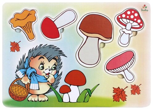 Рамка-вкладыш Мастер игрушек Учим грибы (IG0117), 7 дет., 19.5х30х20 см, мультиколор