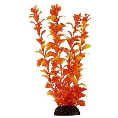 Искусственное растение Laguna Людвигия 55 см 4.6 см оранжевый искусственное растение фикус широколистный 55 см