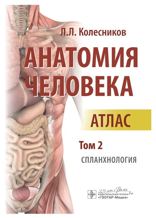 Анатомия человека Атлас Спланхнология Том 2 Учебное Пособие Колесников ЛЛ