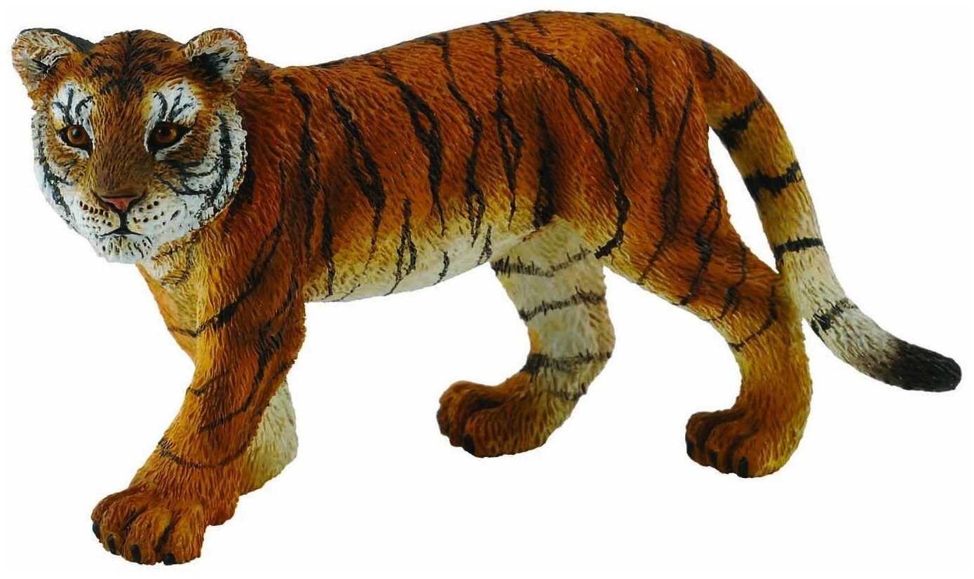 Collecta Детеныш сибирского тигра, M (7,5 см) - фото №1
