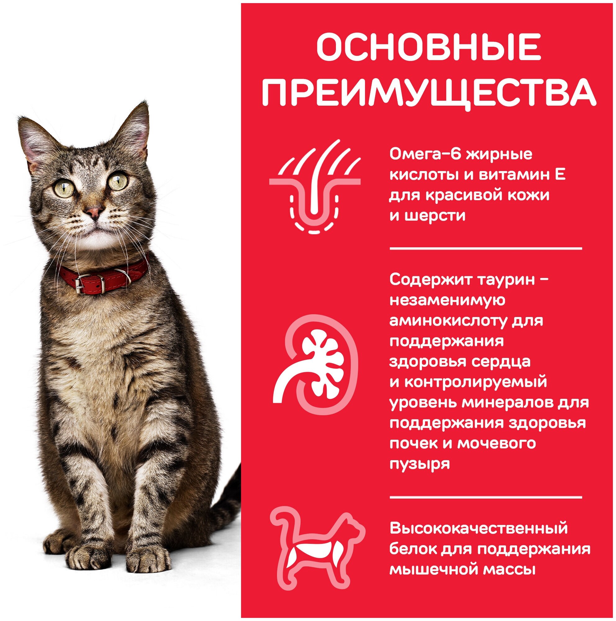 Сухой корм Hill's Science Plan для взрослых кошек для поддержания жизненной энергии и иммунитета, с тунцом, 3 кг - фотография № 7