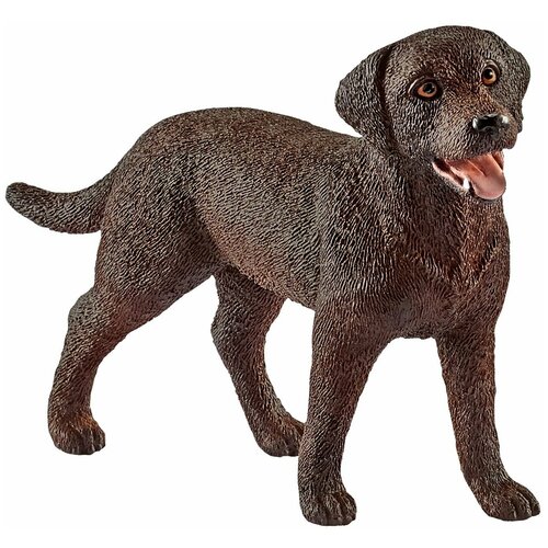 Фигурка Schleich Лабрадор самка 13834, 5 см фигурка schleich хакус 20758 5 5 см