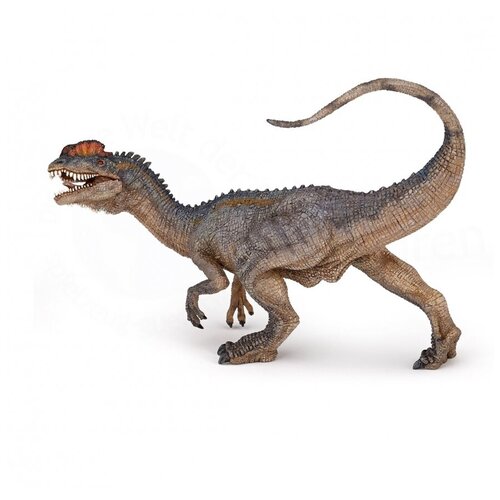 Купить Дилофозавр 14 см Dilophosaurus фигурка-игрушка динозавра, Papo