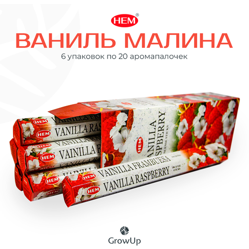 Палочки ароматические благовония HEM ХЕМ Ваниль Малина Vanilla Raspberry, 6 упаковок, 120 шт