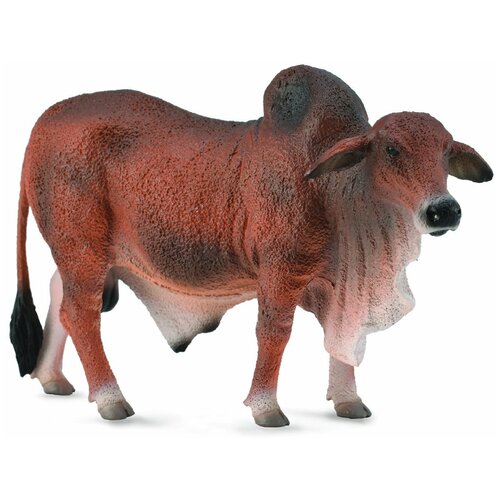 Фигурка Collecta Красный брахманский бык 88599, 9 см фигурка collecta херефордский бык