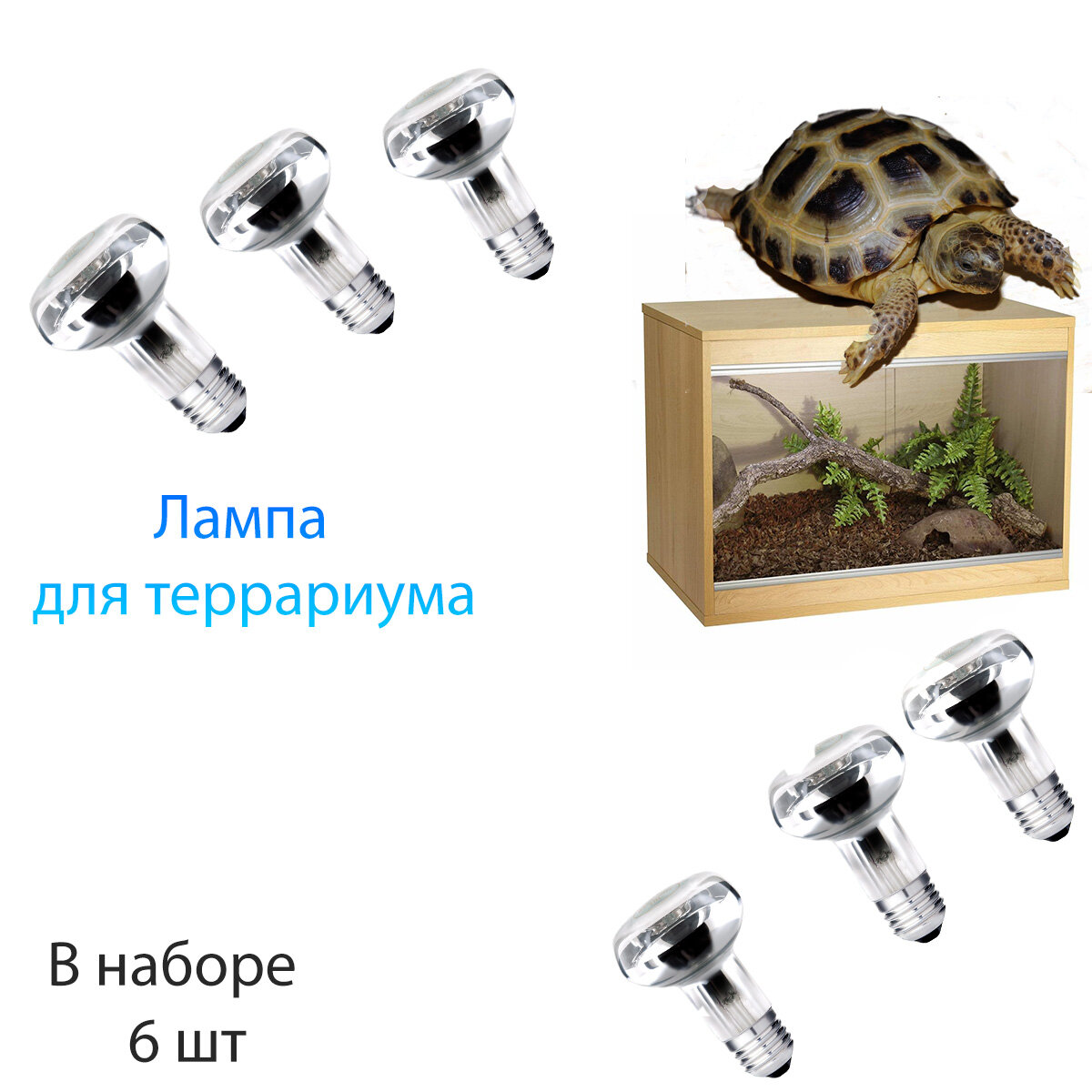 Для террариума лампа 6 шт для террариума черепах ящериц/ рептилий декор грунт растения