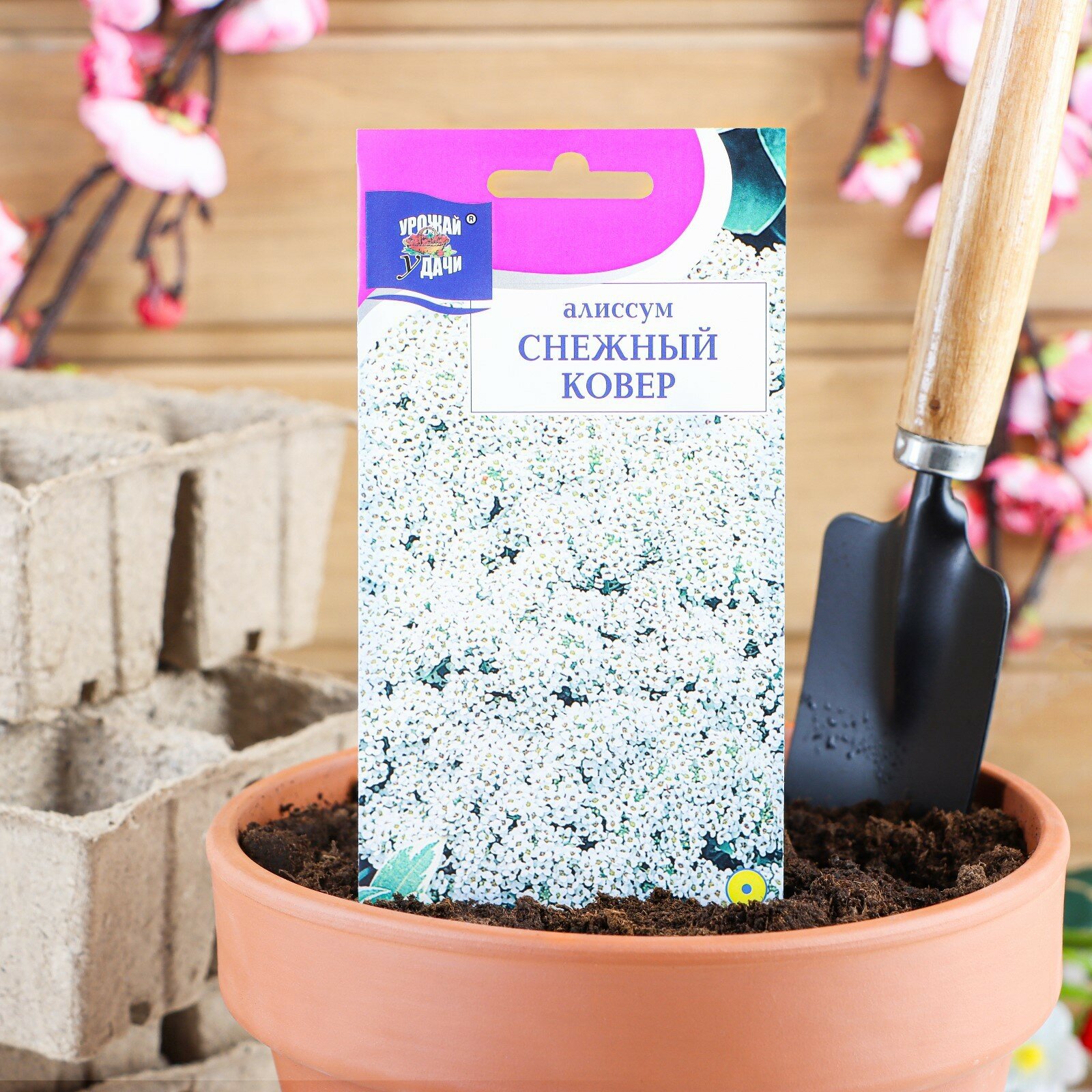 Семена цветов Алиссум "Снежный ковер",0,1 гр (1шт.)
