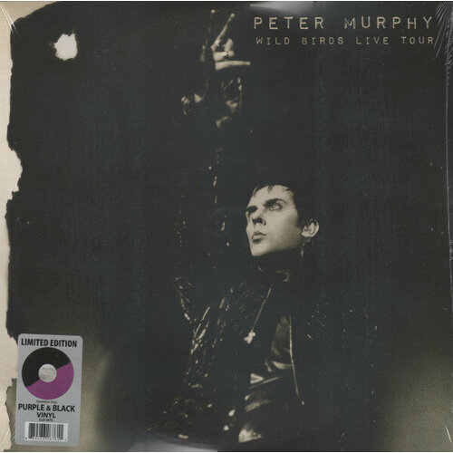 Murphy Peter Виниловая пластинка Murphy Peter Wild Birds Live Tour виниловая пластинка murphy peter holy smoke coloured 0607618012311