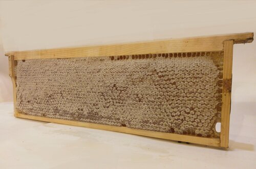 Изображение товара Сотовый мед-разнотравье ИП Шалобода, цветочный, в сотах, 2 кг 2025г.