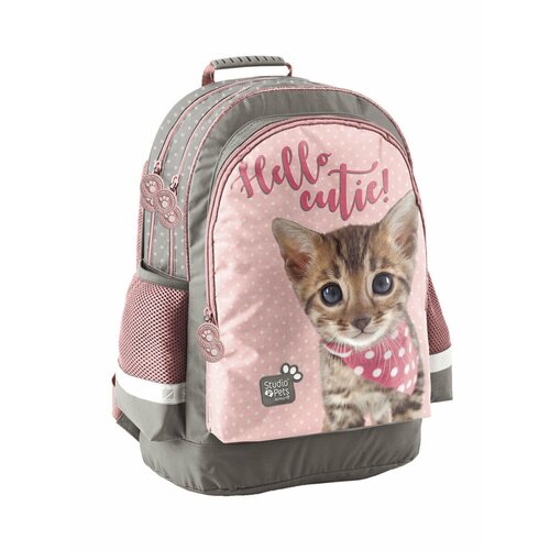 Школьный рюкзак PASO 