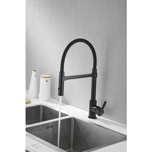 фото Rose смеситель для кухни с гибким изливом rose r133h черный