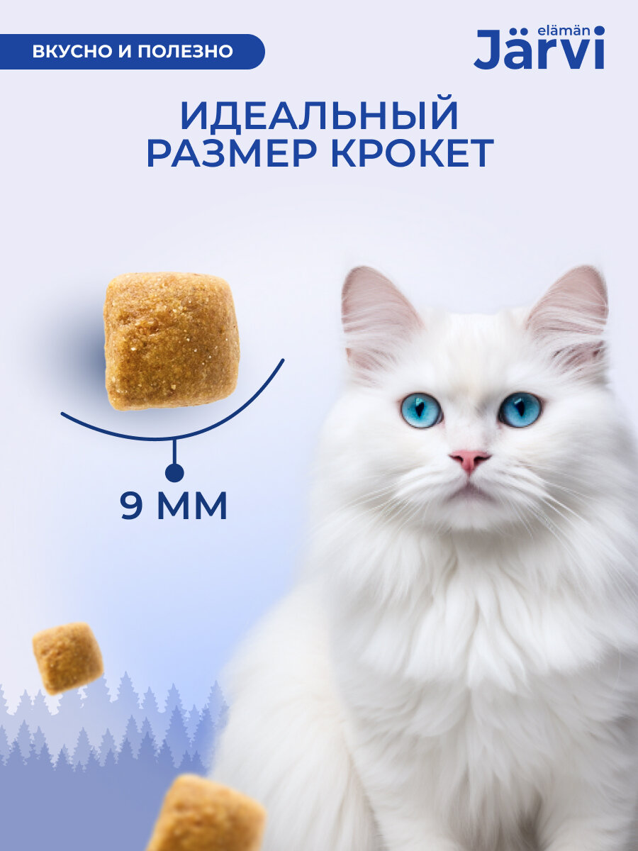 Jarvi сухой полнорационный корм для взрослых кошек Курица, 1,5 кг. - фотография № 3