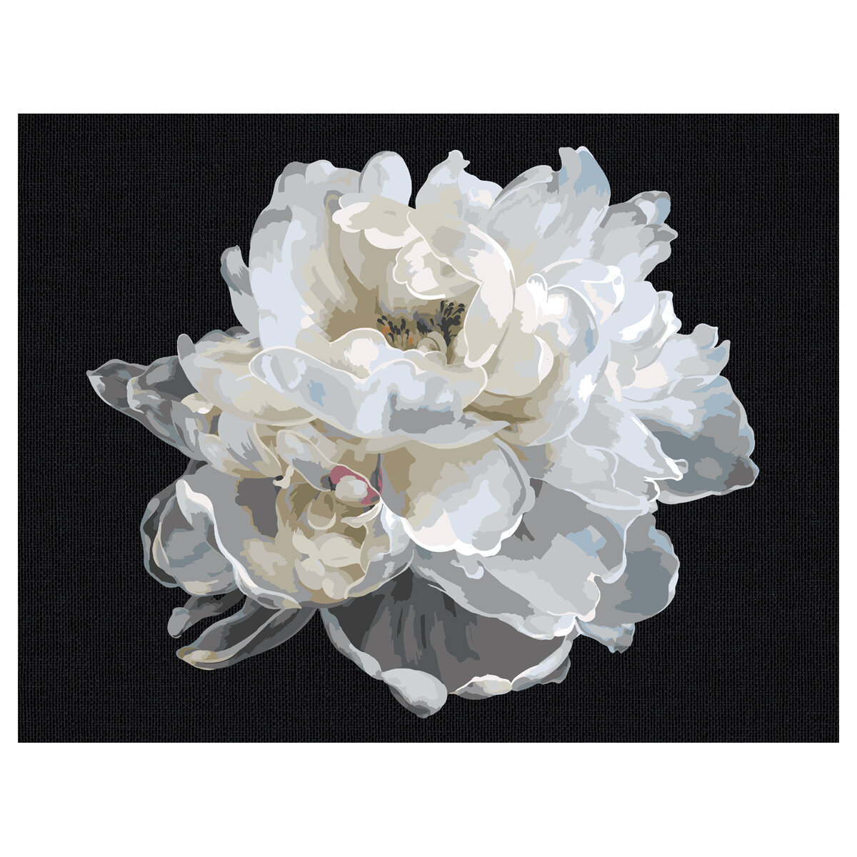 Картина по номерам на черном холсте ТРИ совы "Белый цветок" 30*40 c акриловыми красками и кистями