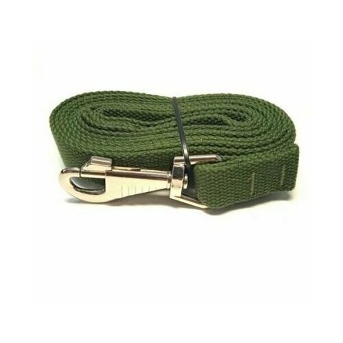 RichPet Поводок Green Dog, брезент, карабин №8, 25 мм, 200 см