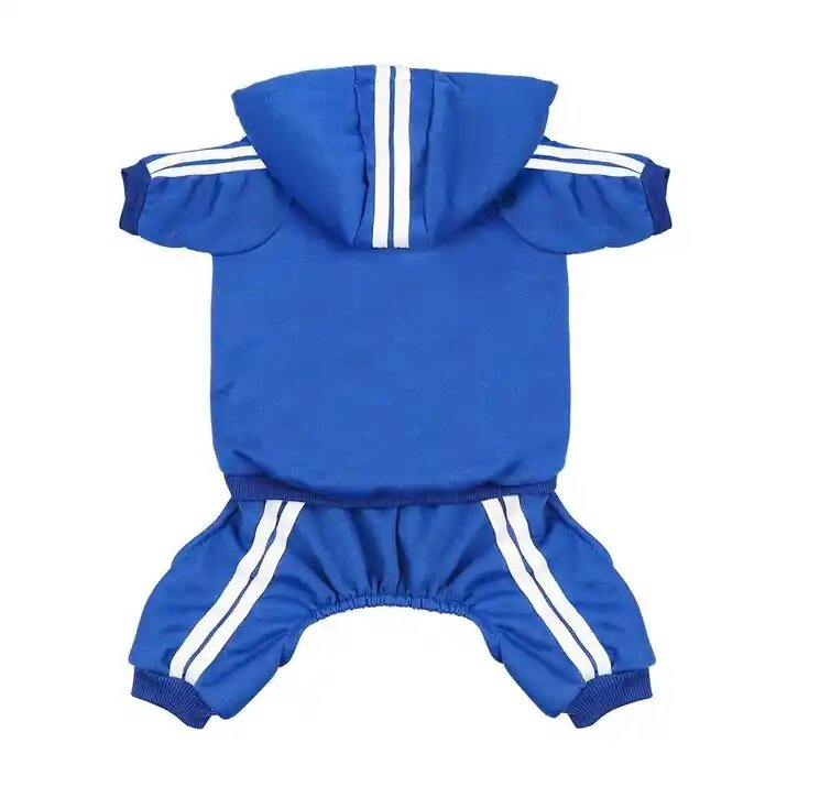 Костюм спортивный для собак синий (28см )