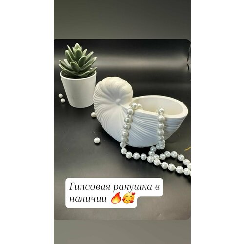 фото Кашпо наутилус ракушка из гипса/кашпо для сухоцветов/подсвечник/форма для декора и интерьера dary cryma