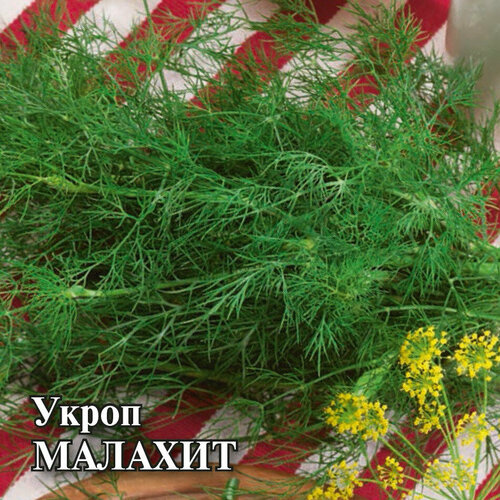 Семена Укроп Малахит, 25г, Гавриш, Фермерское подворье, 5 пакетиков