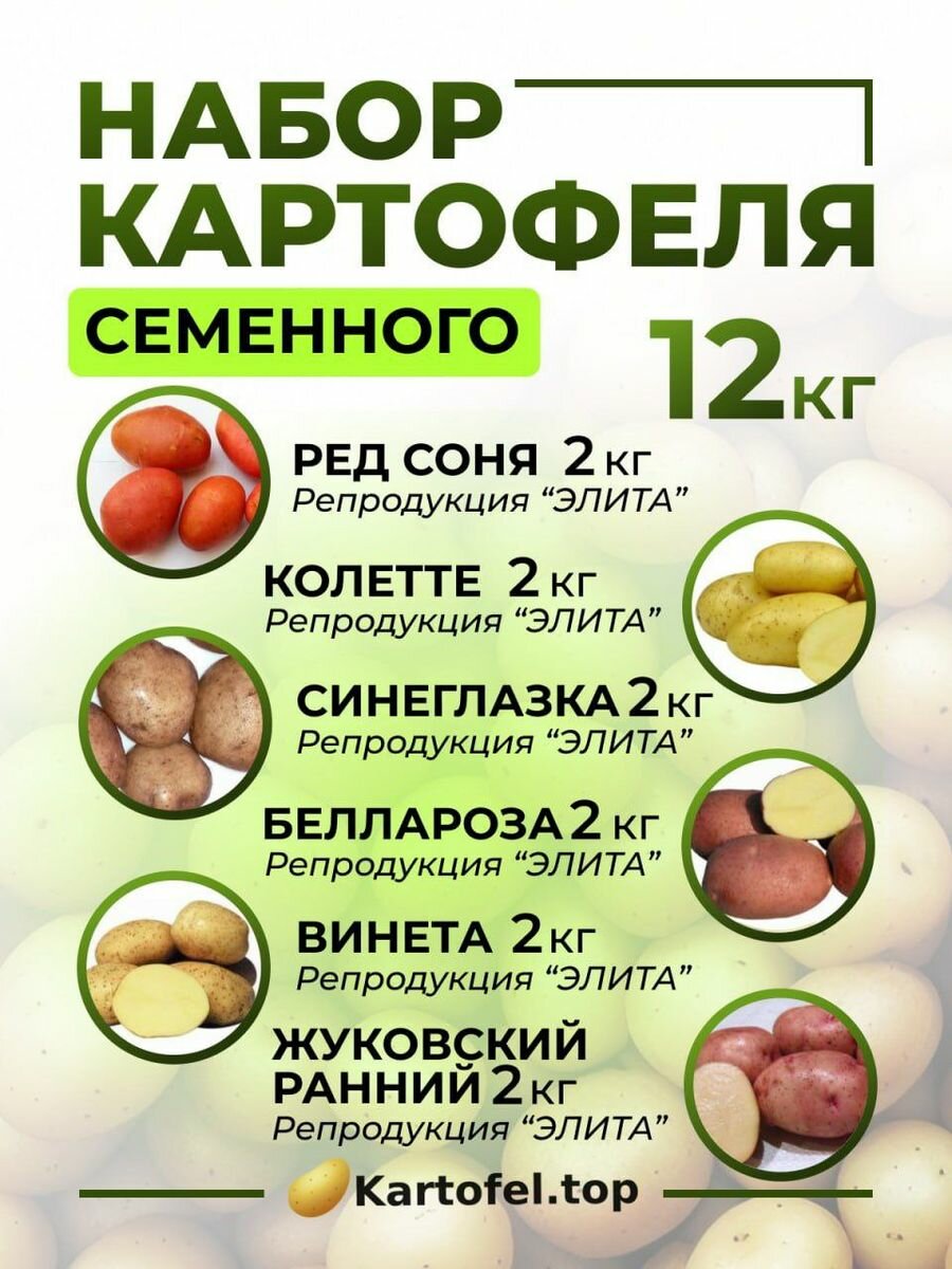 Семена картофеля на посадку набор 12 кг