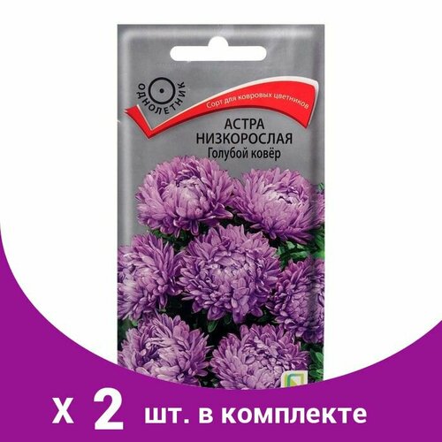 Семена цветов Астра низкорослая 'Голубой ковер', 0,2 г (2 шт) семена цветов астра низкорослая желтый ковер 0 2 г поиск