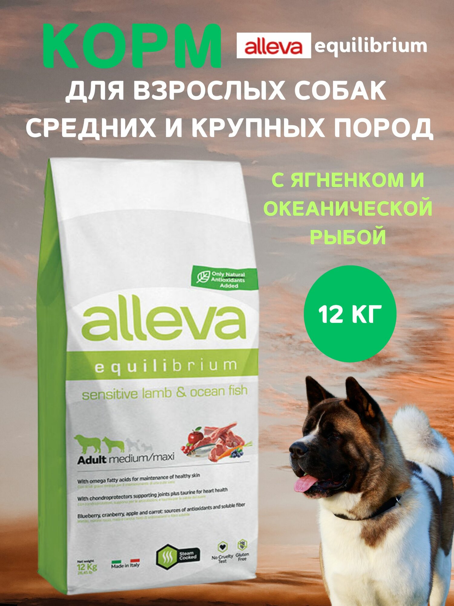 Корм Alleva Эквилибриум Сенситив для взрослых собак средних и крупных пород, с ягненком и океанической рыбой, 12 кг