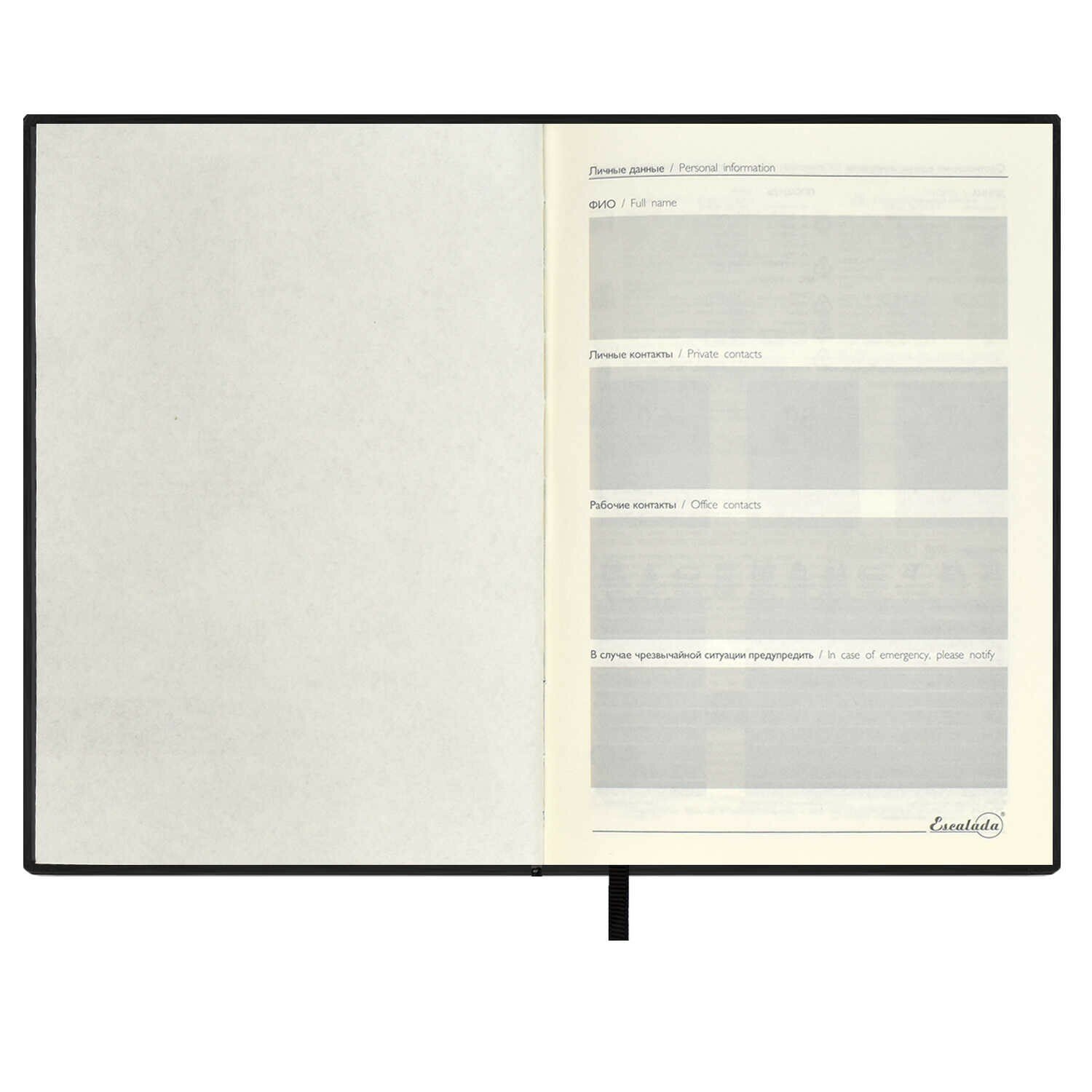 Ежедневник-органайзер недатированный Тиволи, черный, А5+, 160 листов Феникс+ - фото №10