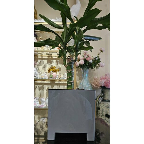 Красивый стильный горшок 2,1 л для цветов 