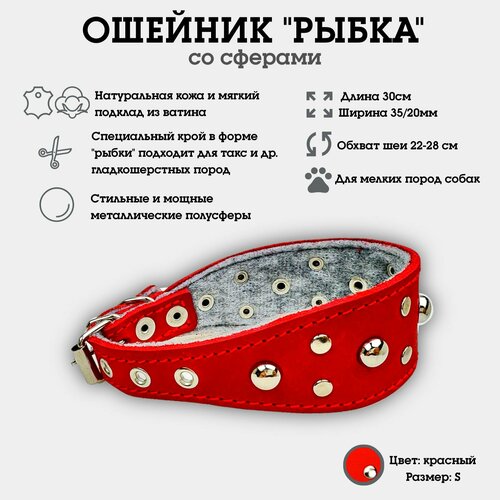 Ошейник "Селедка со сферами" из натуральной кожи и ватина S