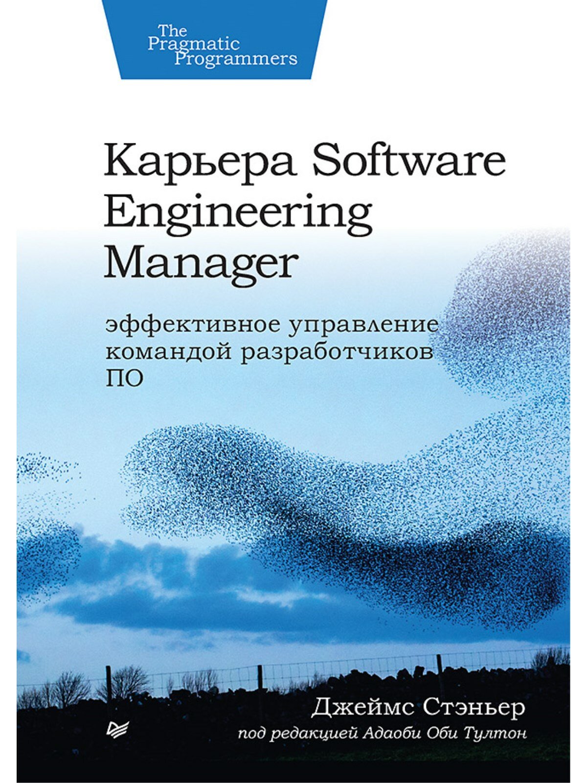 Карьера Software Engineering Manager. Эффективное управление командой разработчиков ПО - фото №1