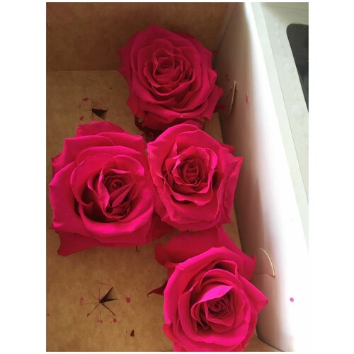 Стабилизированные розы/Optimum/цвет Фуксия