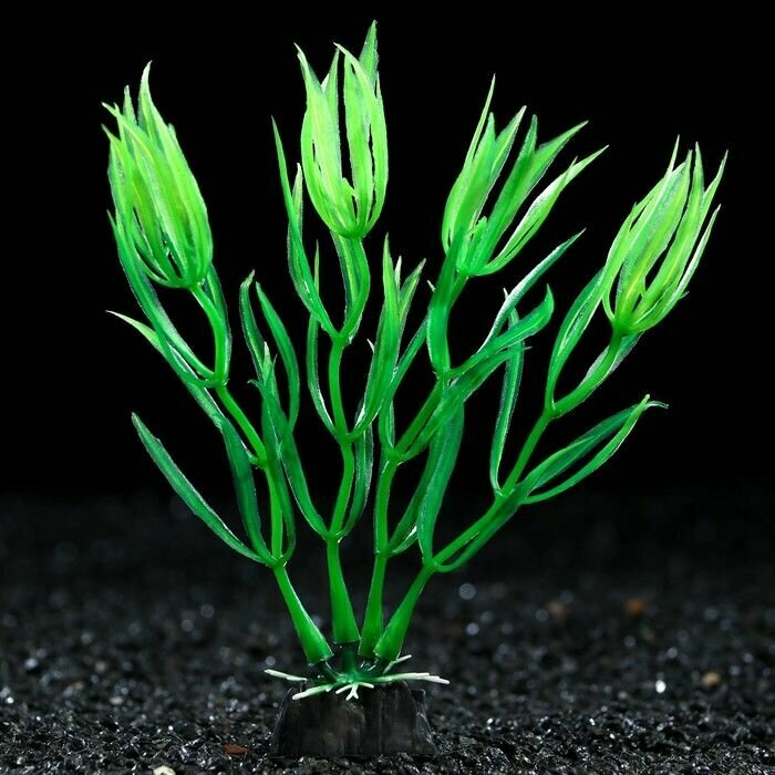 Растение искусственное аквариумное, 10 см, зелёное, 1 шт, 5 шт.