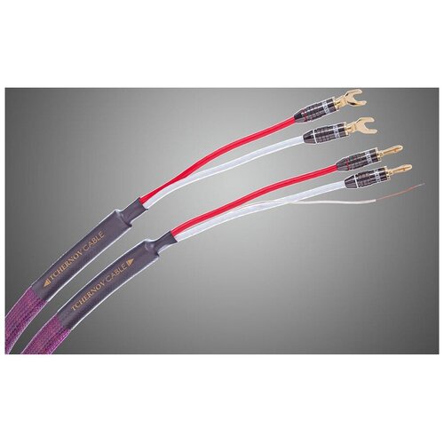 акустический кабель tchernov cable reference dsc sc bn bn 2 65m Tchernov Cable Classic XS SC Sp/Bn (4.35 m)