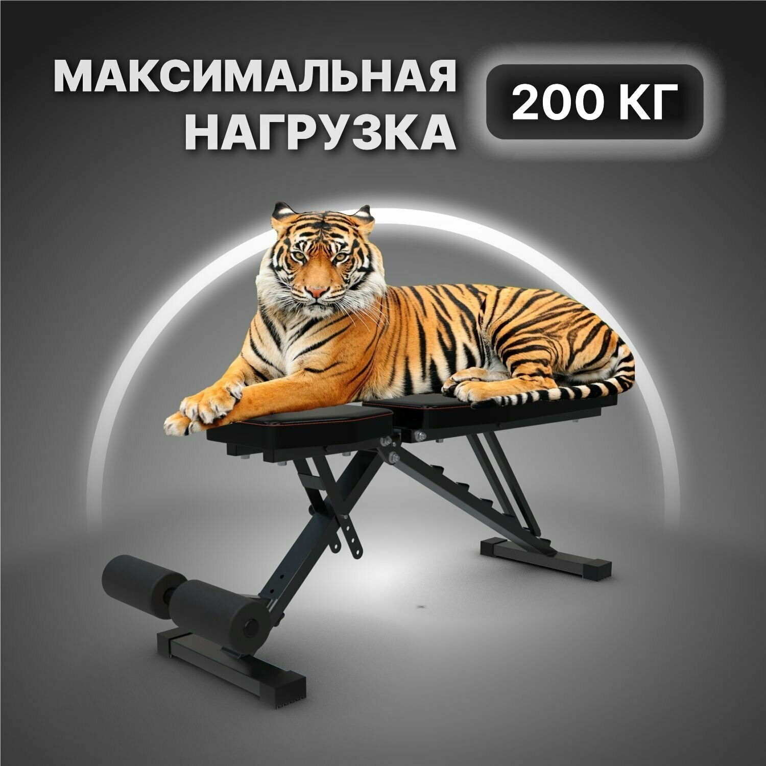 Cкамья силовая DFC HOMEGYM D73