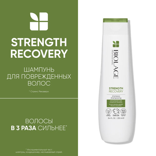 Шампунь Biolage Strength Recovery для восстановления силы поврежденных волос, 250 мл спрей matrix biolage strength recovery для восстановления силы поврежденных волос 232 мл