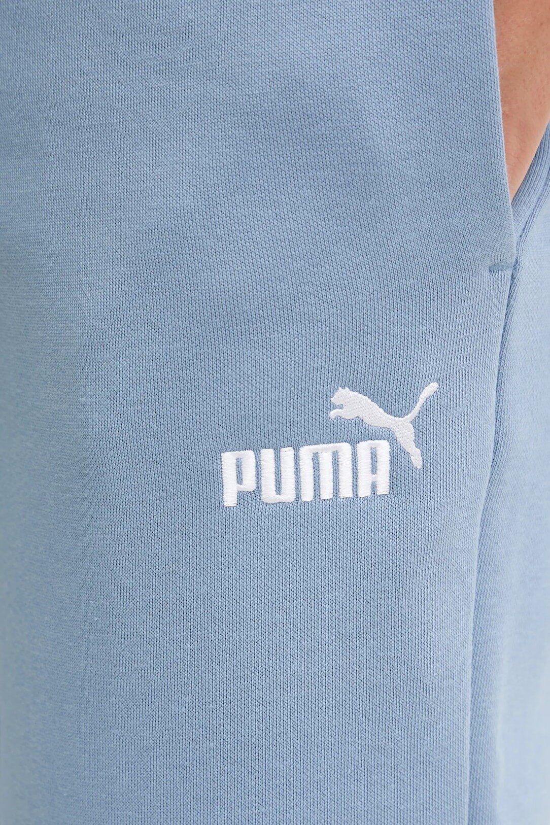 Брюки спортивные PUMA Essentials Small No. 1 Logo, размер L, голубой — фото 1