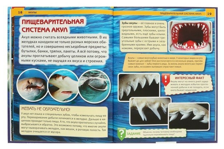 Книга Умка Энциклопедия с развивающими заданиями «Акулы» - фото №5