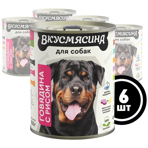Корм консервированный для собак вкусмясина с говядиной и рисом, 850 г х 6 шт.