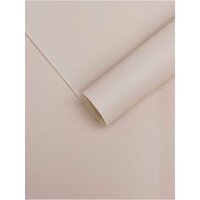 Пленка суфле 58смх58см 20 листов — это легкий и пластичный материал, который часто используется во флористике  ...