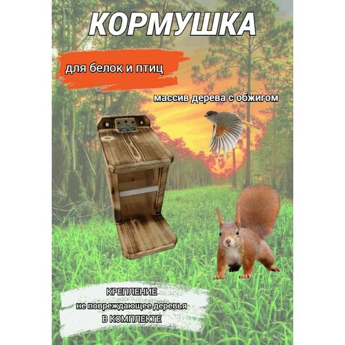 Кормушка для белок и птиц из массива дерева Petrov Home, уличная, подвесная
