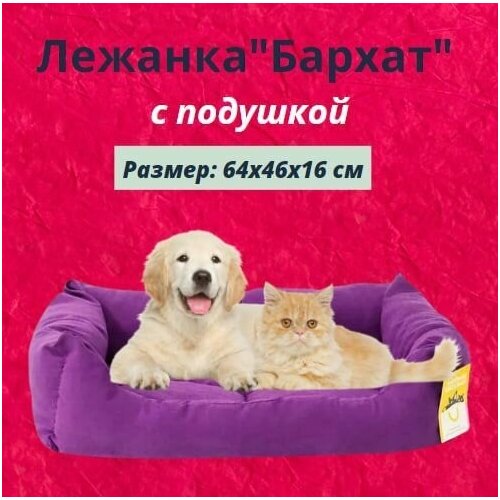 Лежанка "Бархат" прямоугольная пухлая с подушкой Моськи-Авоськи, 64х46х16 см, цвет фиолетовый